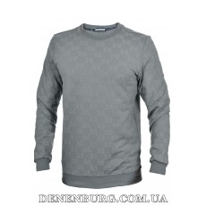  Світшот чоловічий GUCCI 25-25K-09402 сірий