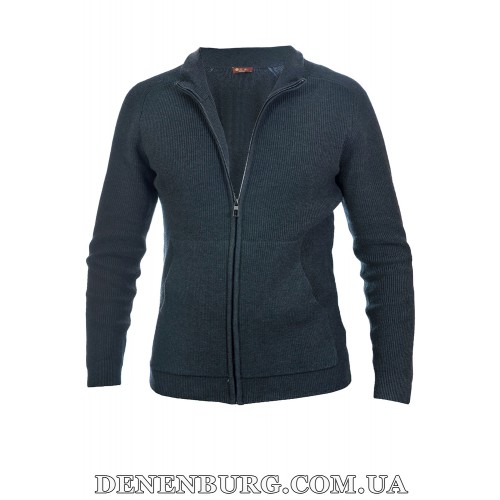  Кофта чоловіча LORO PIANA 26-M06113-AC053 темно-сіра