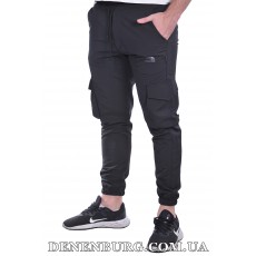 Штани спортивні чоловічі THE NORTH FACE 25-5000-9 чорні