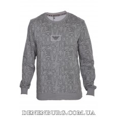 Світшот чоловічий ARMANI 24-24K-5036 сірий