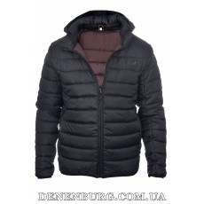 Куртка чоловіча демісезонна THE NORTH FACE 24-N286 чорна