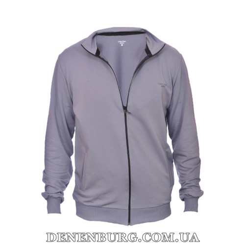 Кофта спортивна чоловіча CALVIN KLEIN 24-0042-1 сіра